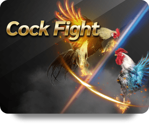VF555 Live Dealer Hot Live Casino: Enjoy Real Dealer Interaction